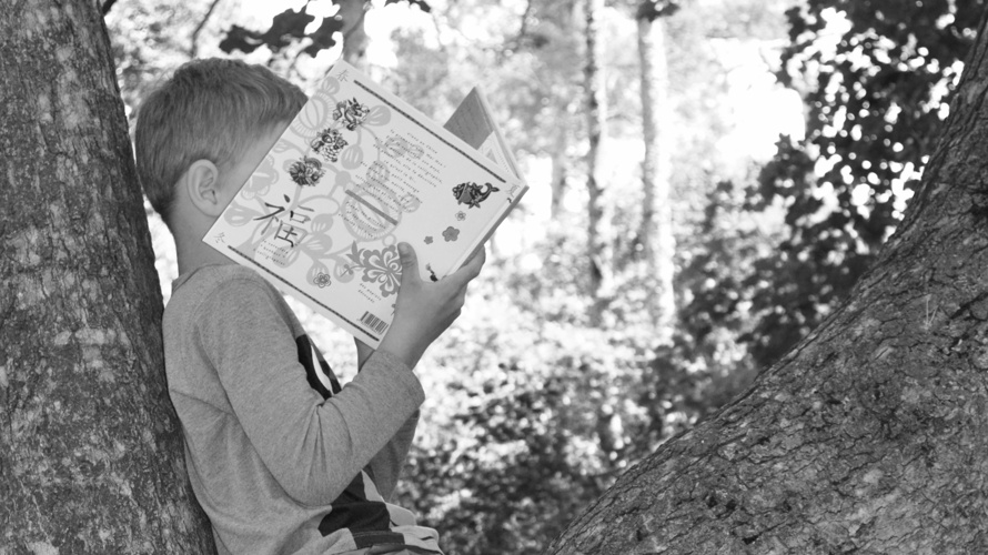Ecole graines d'avenir, école alternative en Valais central