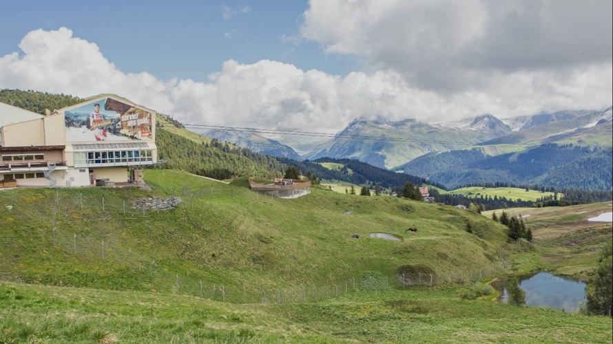 BÄREN SOLLEN IN AROSA WIEDER WAS ZU LACHEN HABEN