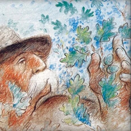 Wie Bäume Frieden schaffen