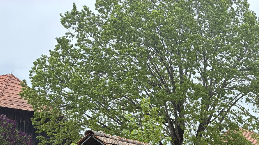 Pro Spycherweg