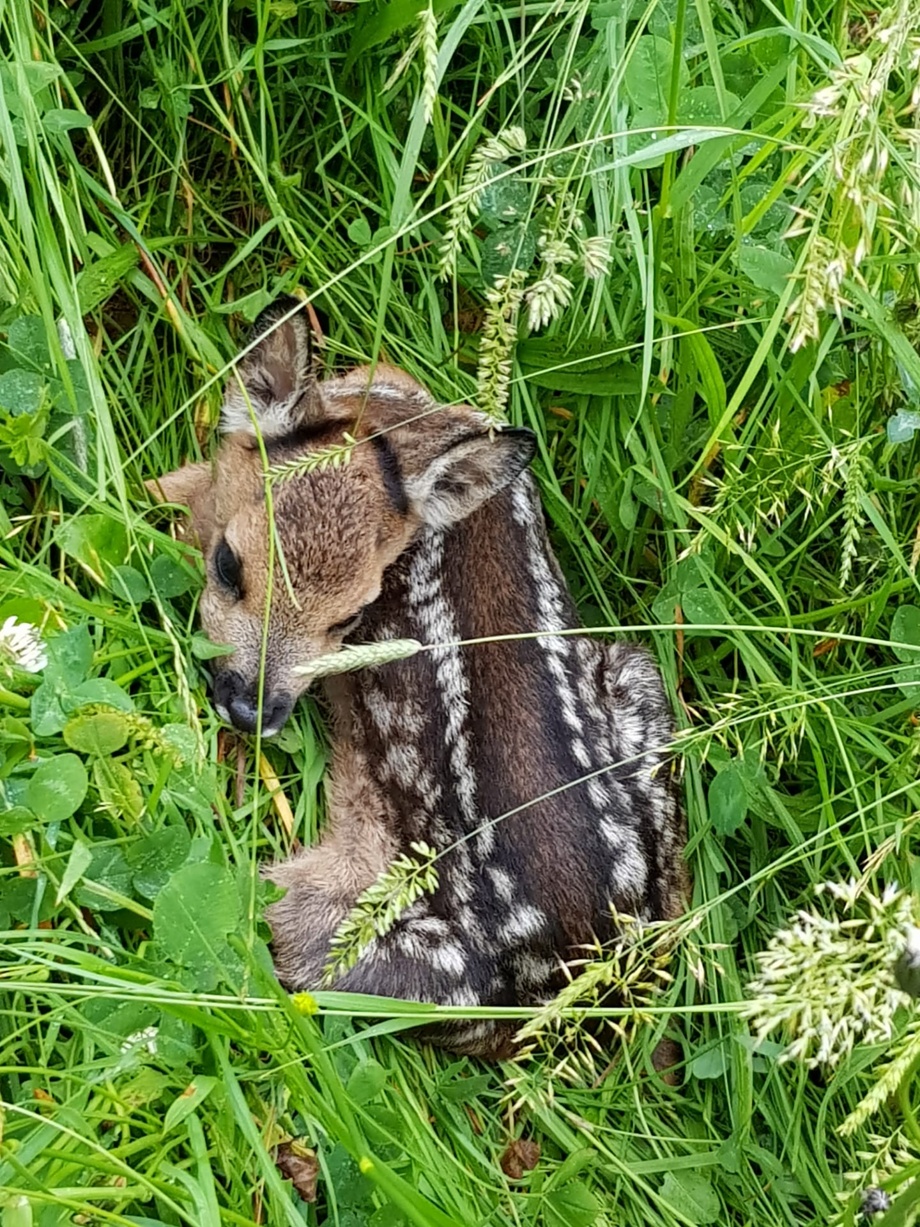 Video über einen Einsatztag nur für DICH