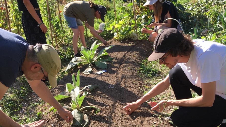 Jardin participatif du Ruau