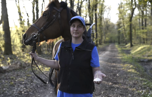 Création d'une coopérative unique