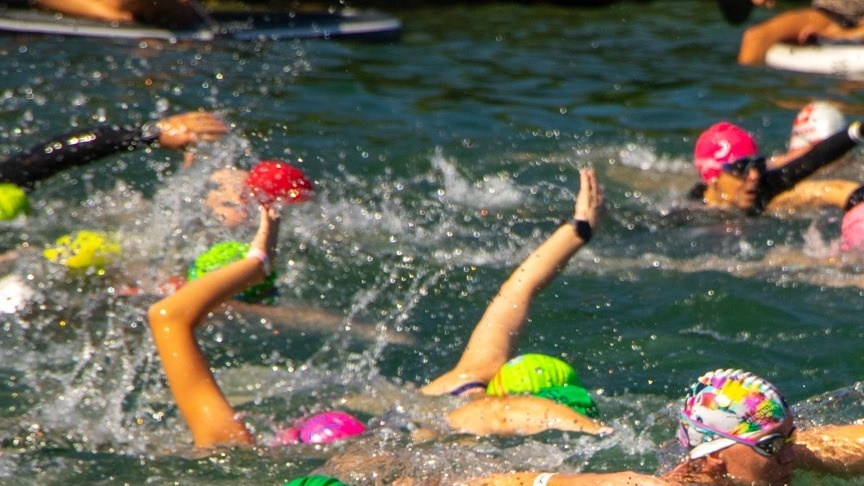 Verein Insel-Ligerz-Schwimmen