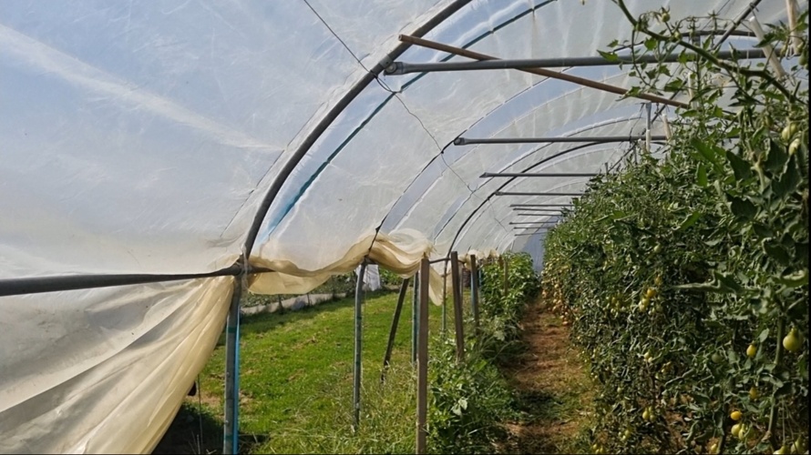 Neue Folien fürs Folientunnel