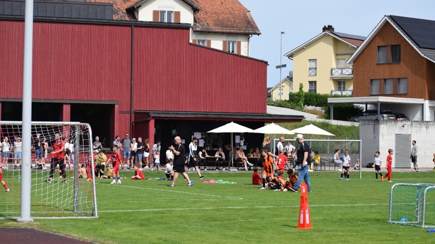 Kunstrasen-Projekt FC Niederwil