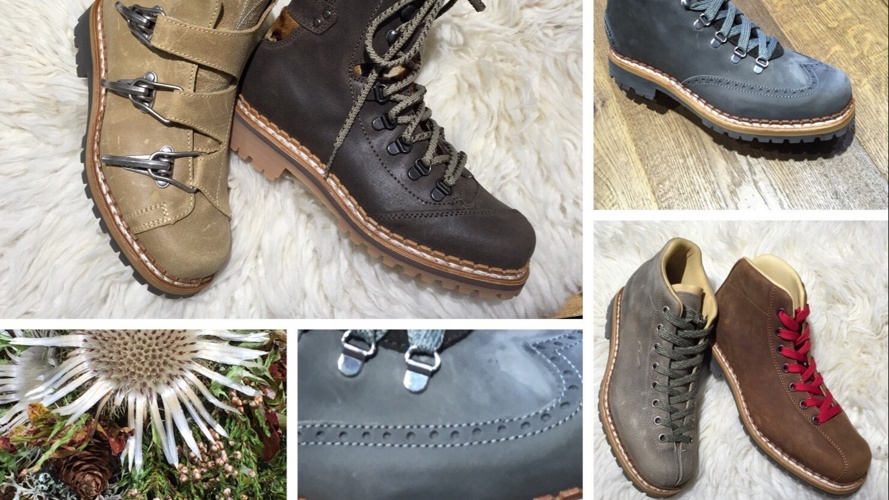 Support für Molitor Sport Wengen