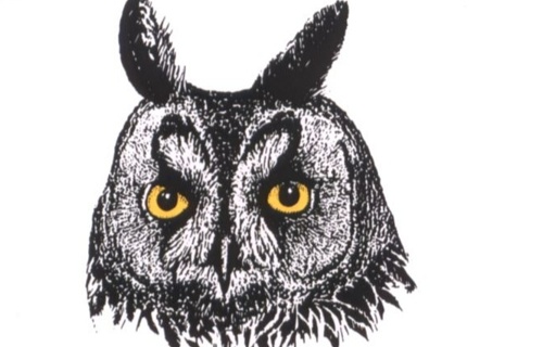 Tierschutz Region Thun