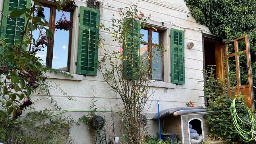 Saubere Näpfe & frisches Gemüse für unsere tierischen Schützlinge