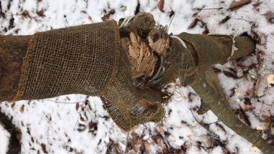 Wiederaufbau Waldspielgruppe