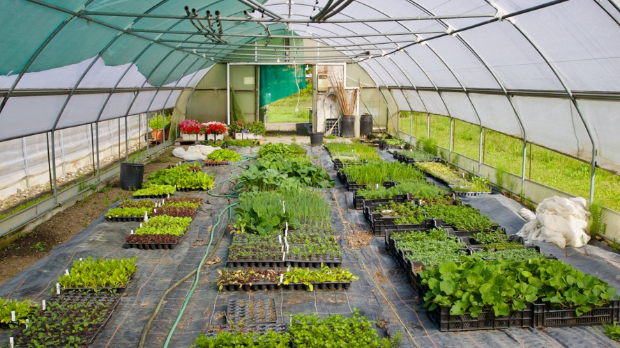 Bio-Gärtnerei Appisberg: 150. Vereinsmitglied und starker Crowdfunding-Start