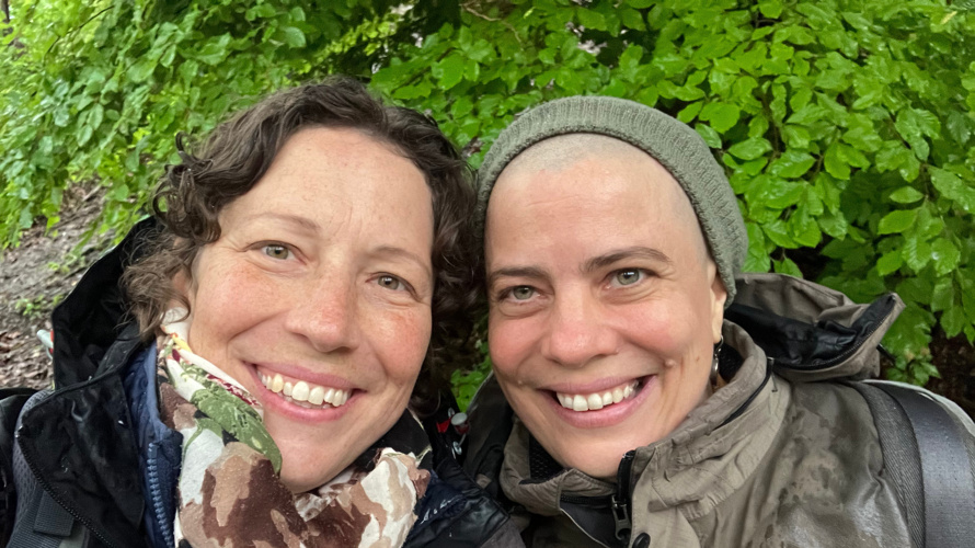 Kinderbuch Waldtraum