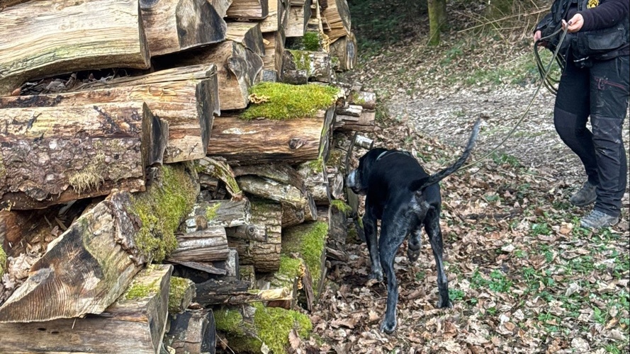 Naturschutzhunde