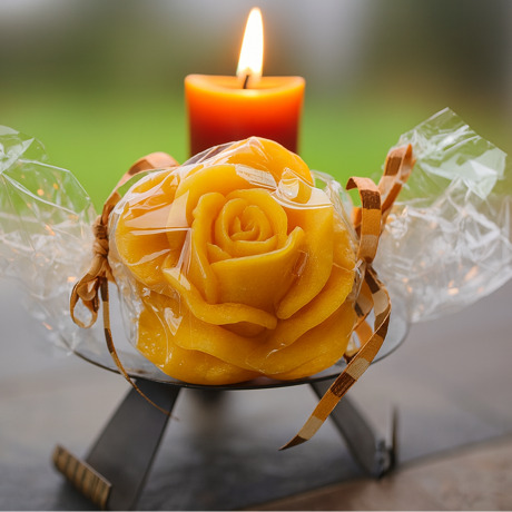 Jetzt wird’s ernst – Ein neues Zuhause für unsere Bienen