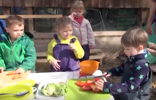 Wiederaufbau Waldspielgruppe