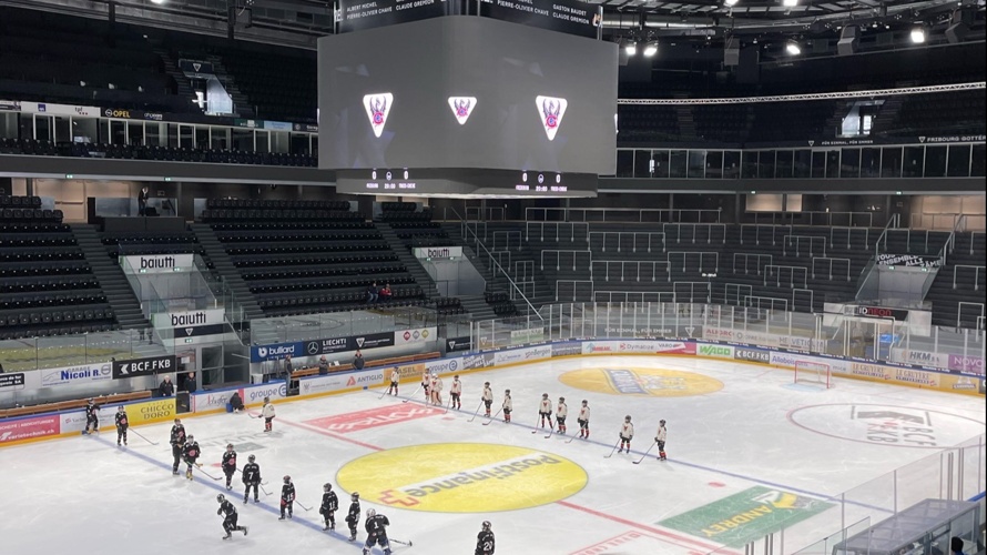 Aidez nos petits renards à partir en Finlande!