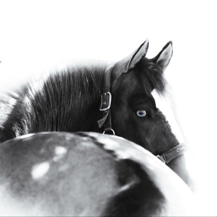 Esperienza individuale