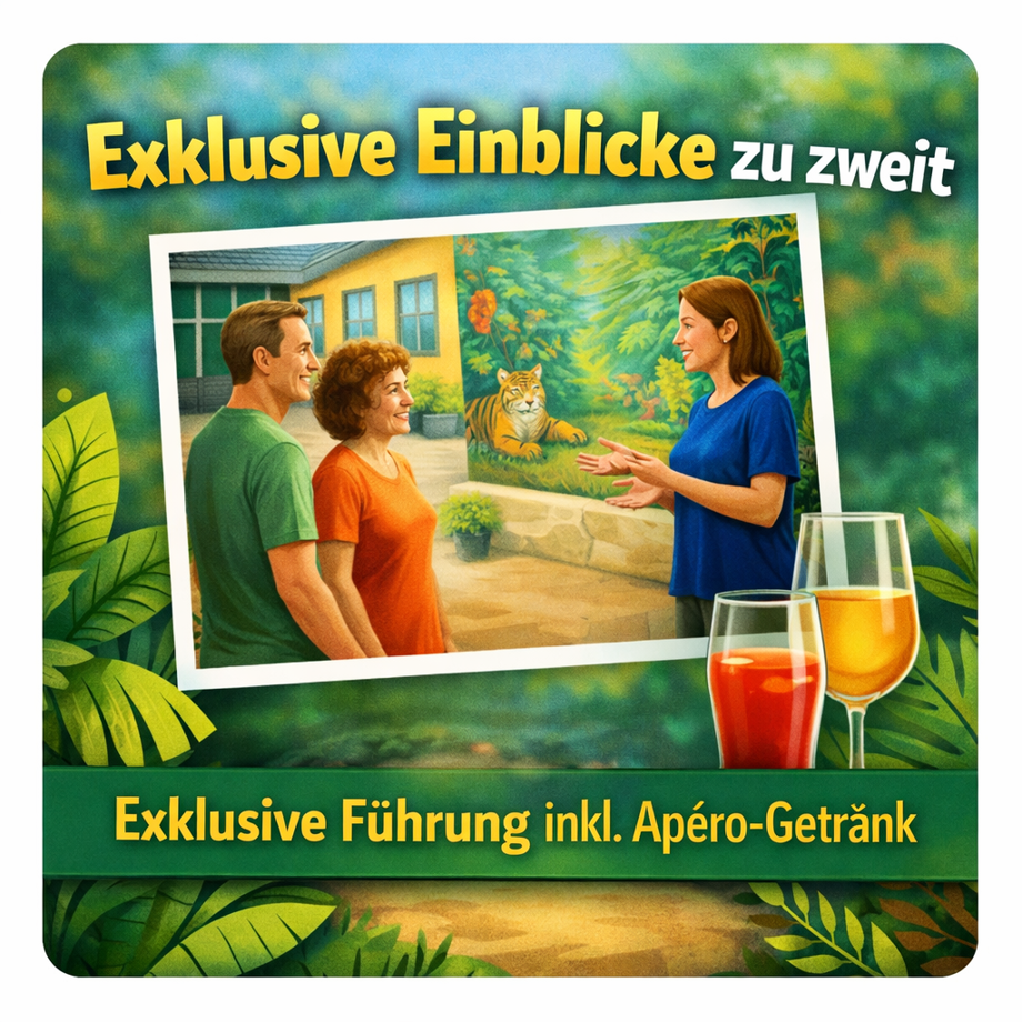 Exklusive Einblicke zu zweit