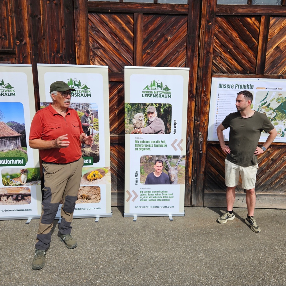 Sponsor Wildblumenwiese