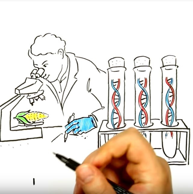 persönliche Zeichnung eines Profi-Zeichners