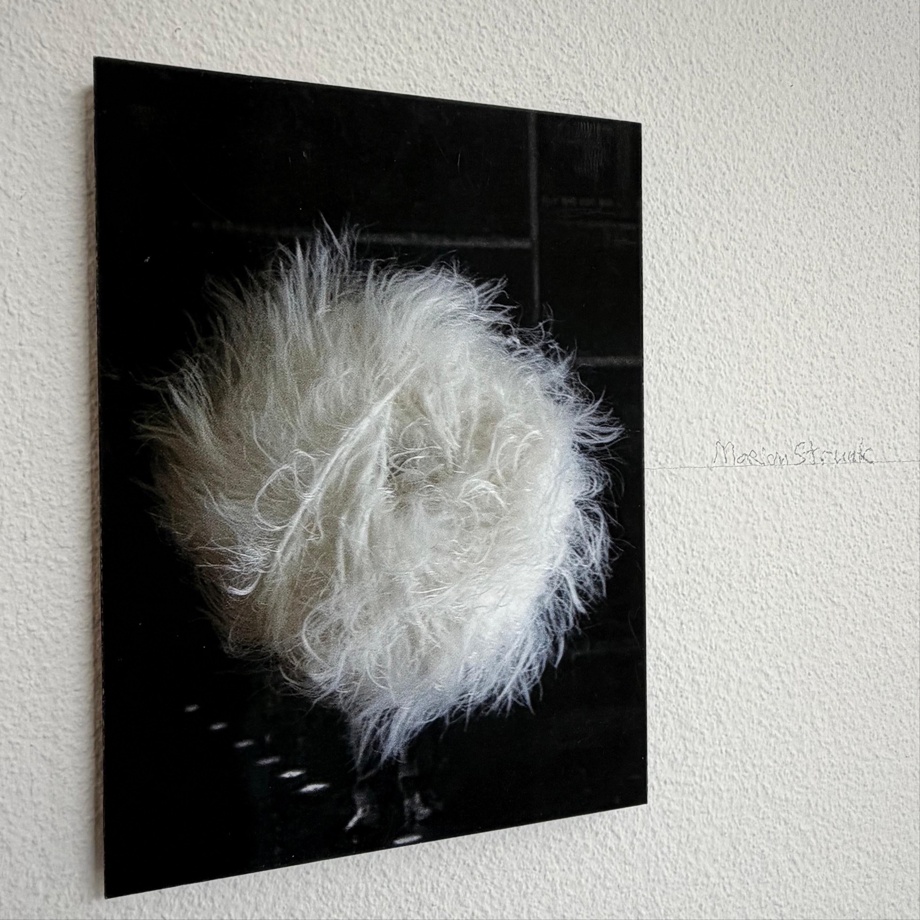 Edition Kunstbeitrag