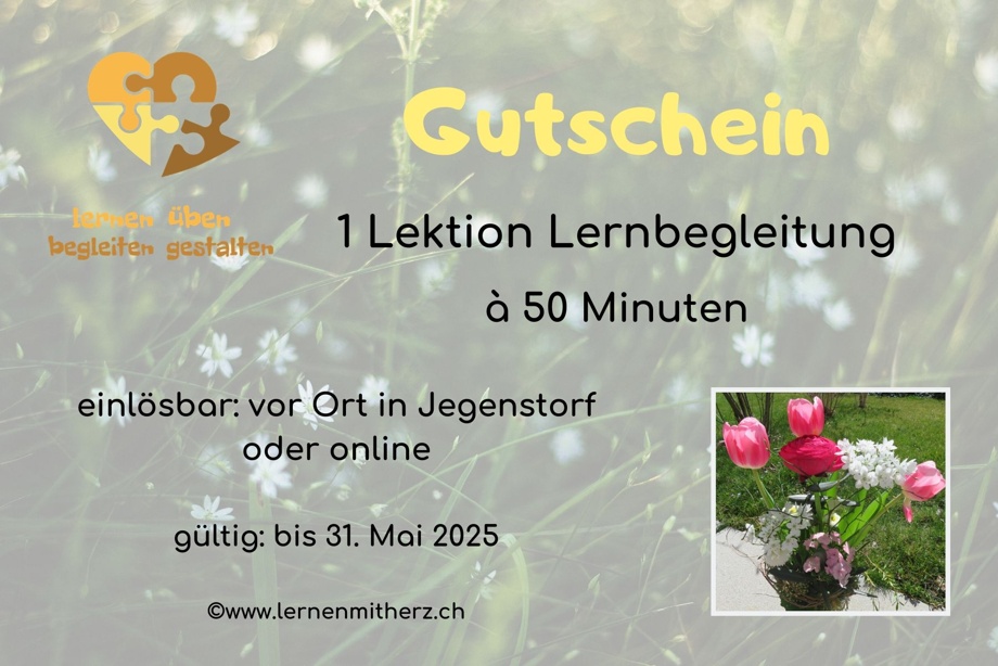 1x Lernbegleitung (1 Lektion à 50 Minuten)