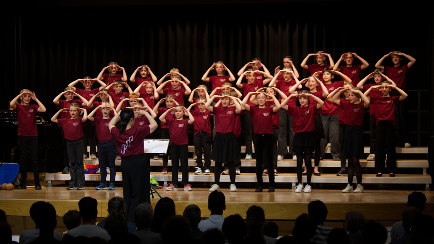 Verein «Singing ARound the World»