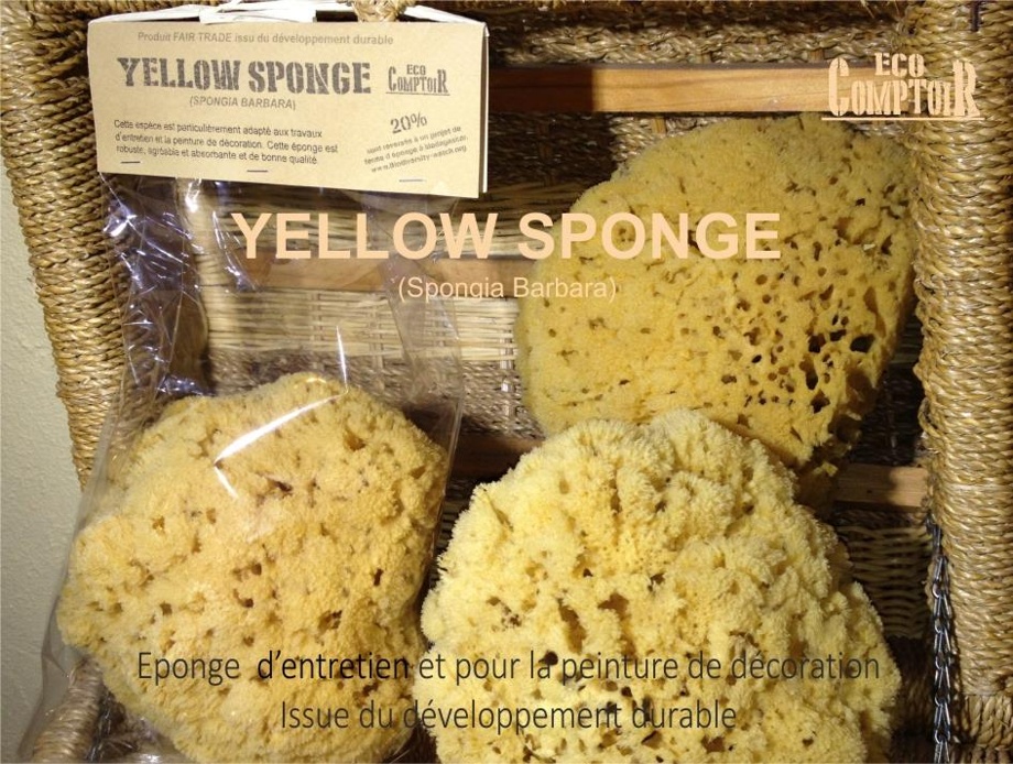 Eponge naturelle "Yellow sponge"