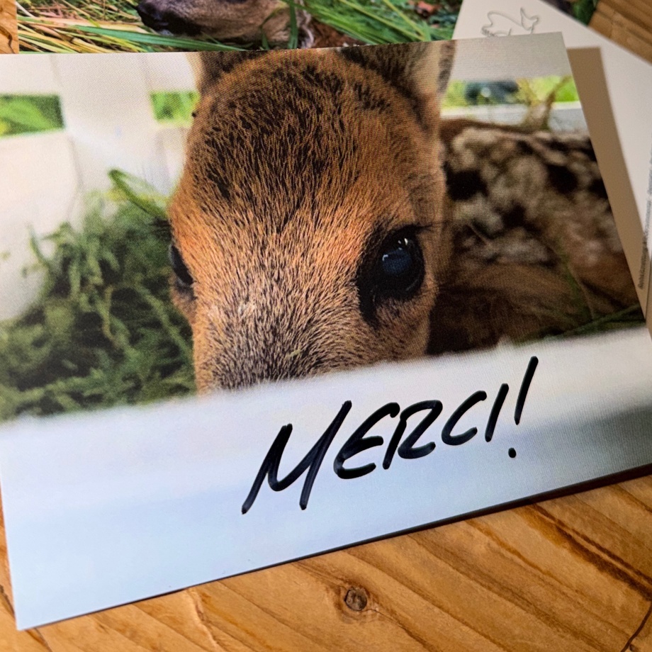 Namenserwähnung Webseite & Dankeskarte