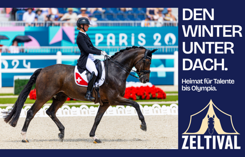 Den Winter unter Dach