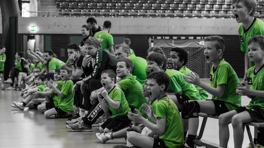 Handball-Verein Olten