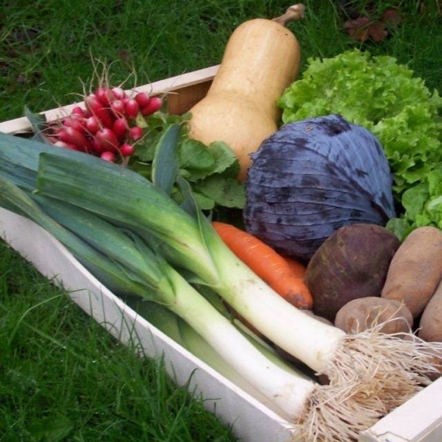 Le panier de légumes bio et ses deux surprises