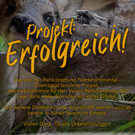 Projekt: Erfolgreich!