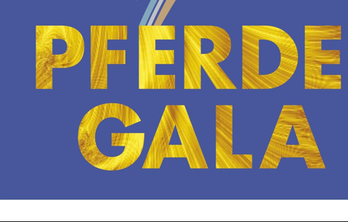 1. Pferde Gala 2019“ im Moos, in Balsthal