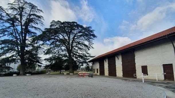 Pachamama Connexion Festival