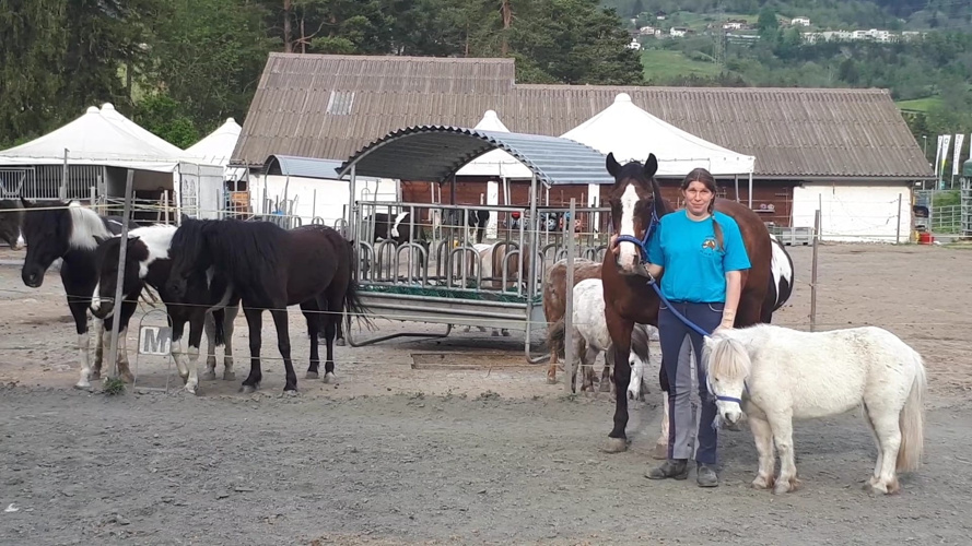 Rettung der Reitschule wegen der Schliessung durch das BAG