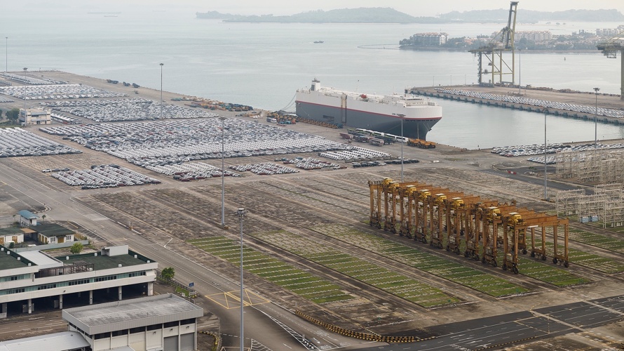 THE VIEW OUT OF MY WINDOW