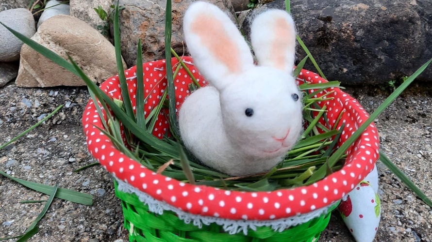 Elternverein Stettlen