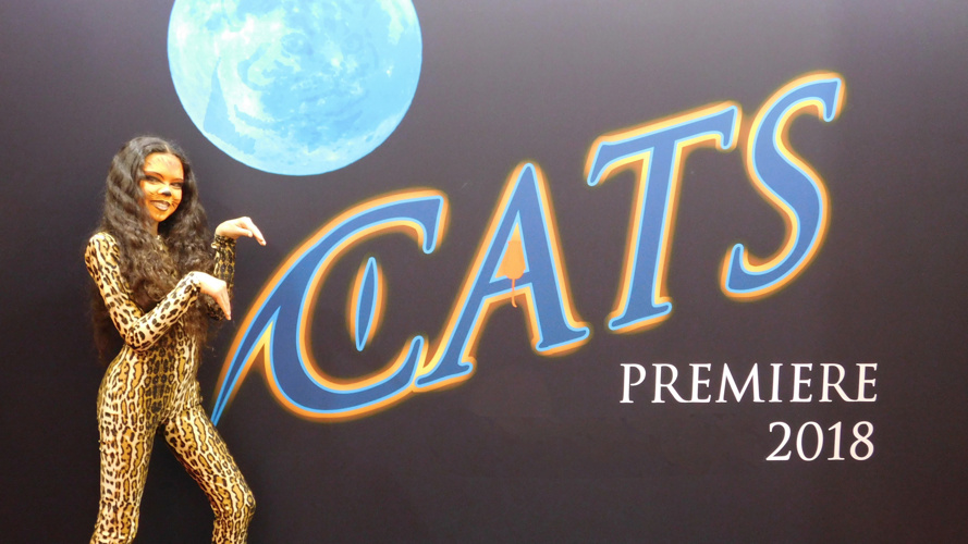 CATS das Originalmusical von Kindern gespielt
