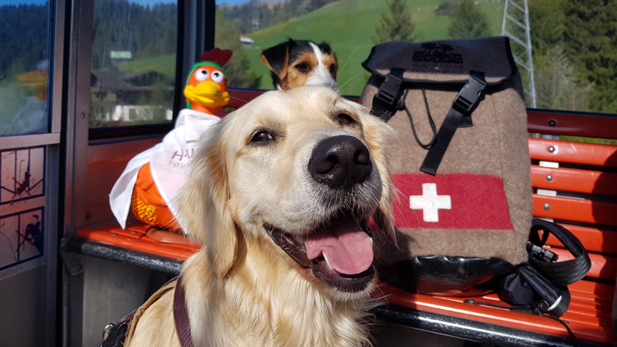 Neue Webseite für Hundefreunde (H-und.ch)