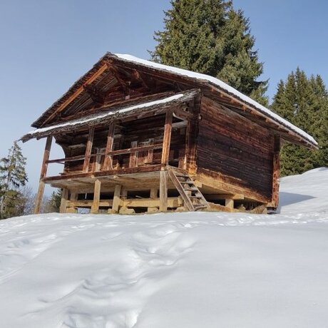Wir haben es geschafft - herzlichen Dank!