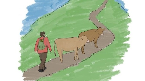 Dreisprachiges Kinderbuch