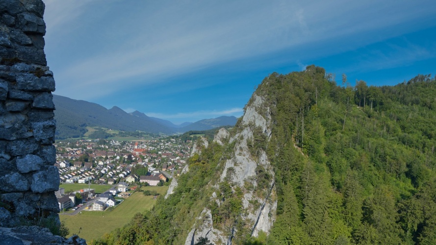 Stiftung Hund Schweiz