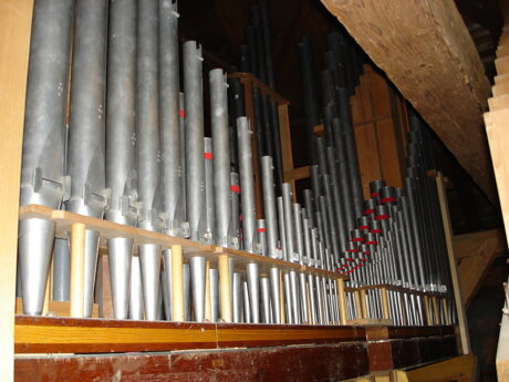 Chers parrains et chers fans