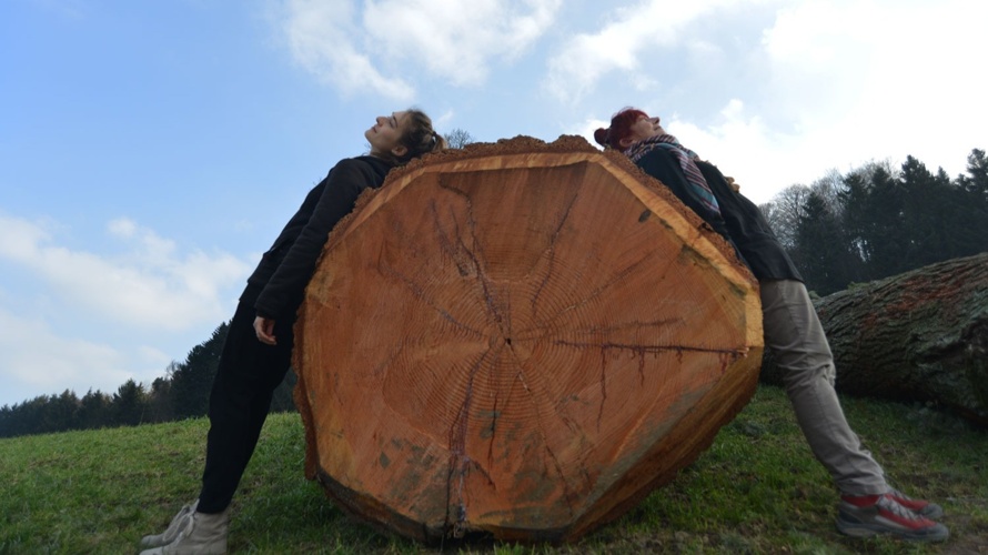 BAUMSY eine musikalisch-tänzerische Begegnung mit dem Baum