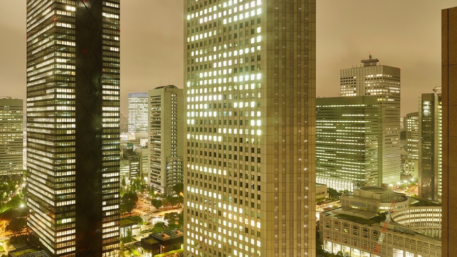 THE VIEW OUT OF MY WINDOW