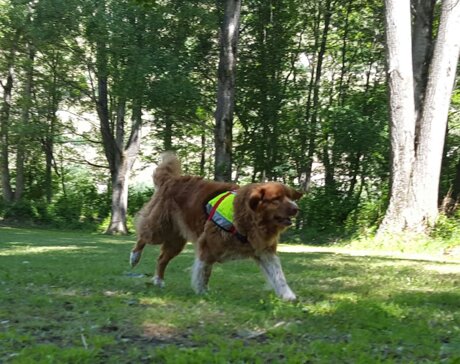 Wir danken und laden herzlich ein!