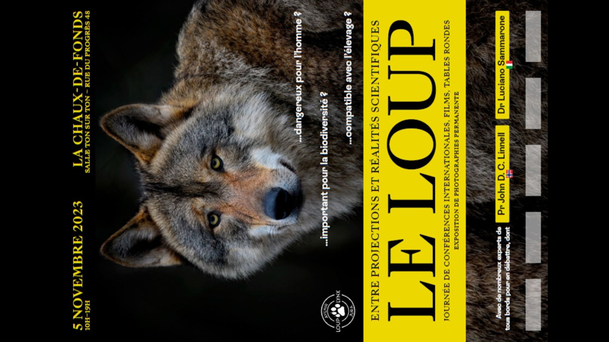 Le loup, entre projections et réalités scientifiques
