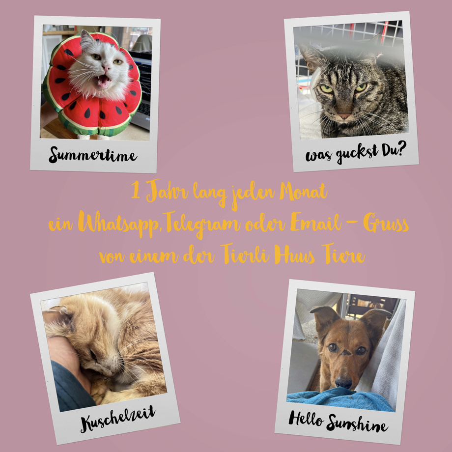 monatlicher Gruss unserer Tiere