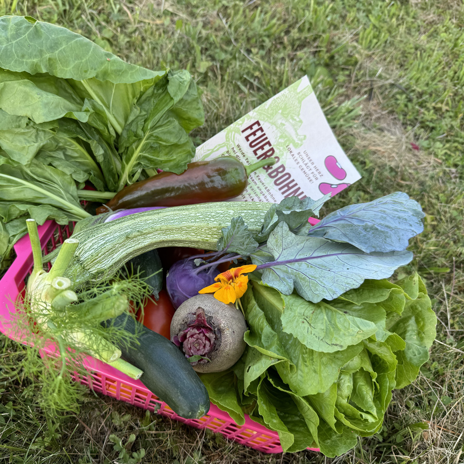 Schnupperabo Spatenfrei